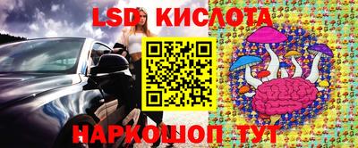 индика Обнинск