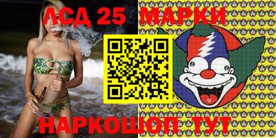 индика Обнинск