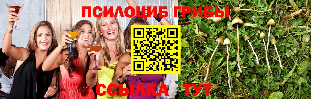 Галлюциногенные грибы MAGIC MUSHROOMS Советск