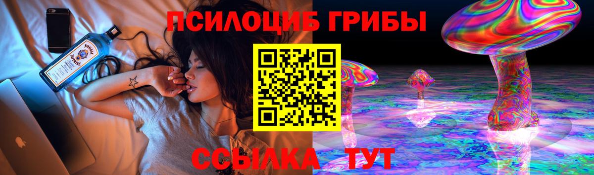 где можно купить   Псилоцибиновые грибы мухоморы  Псилоцибиновые грибы Psilocybe  Вход с VPN  Советск 